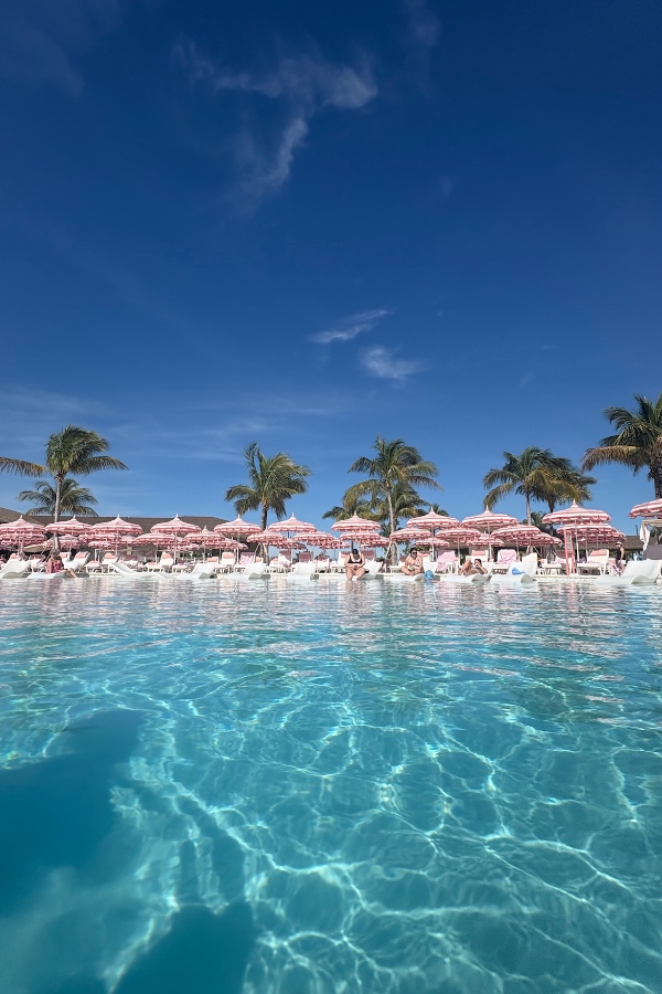 Cruise Brothers Travel Agent Robert Frisco